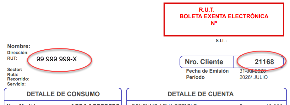 Ejemplo de Boleta